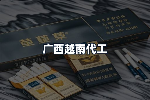 广西越南代工